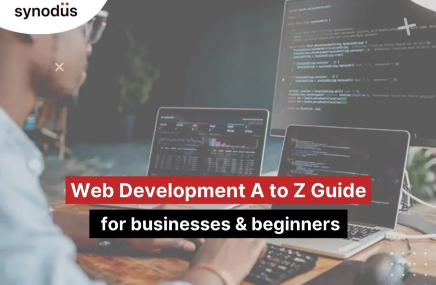Web Development Guide For Business And Beginners: Where To Start?