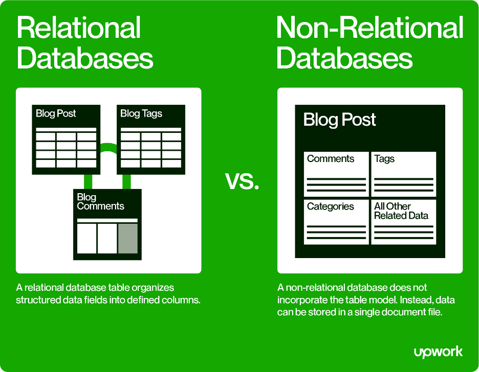 backend web database