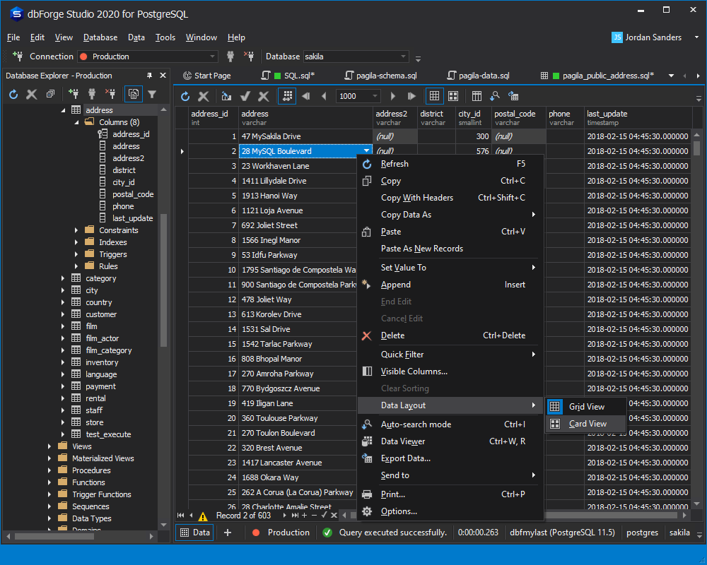 Databases in Web Application Development