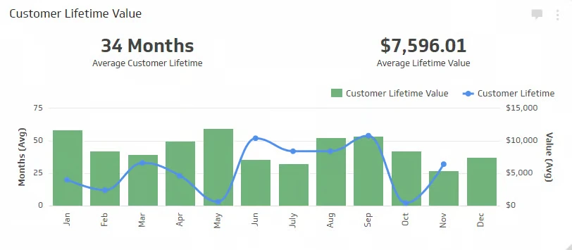 Customer Lifetime Value Analytics 