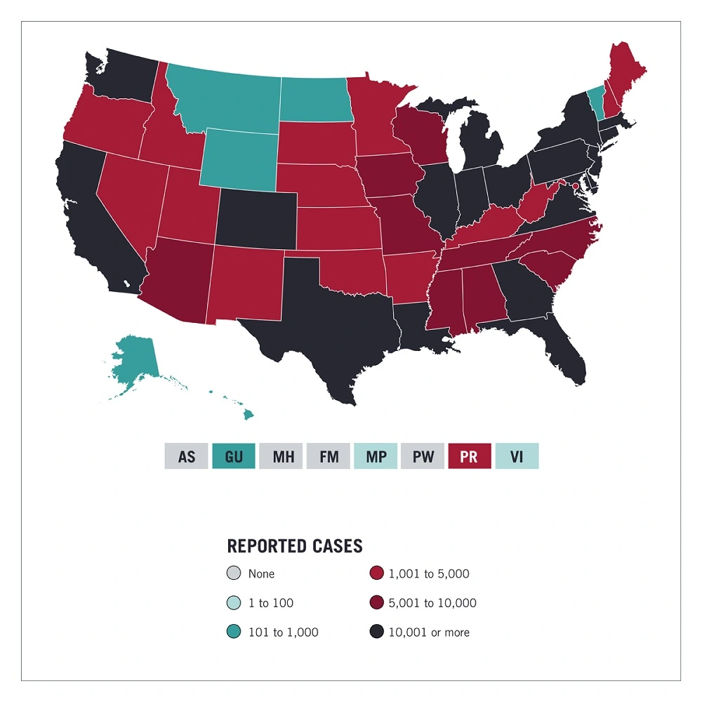 Choropleth Map