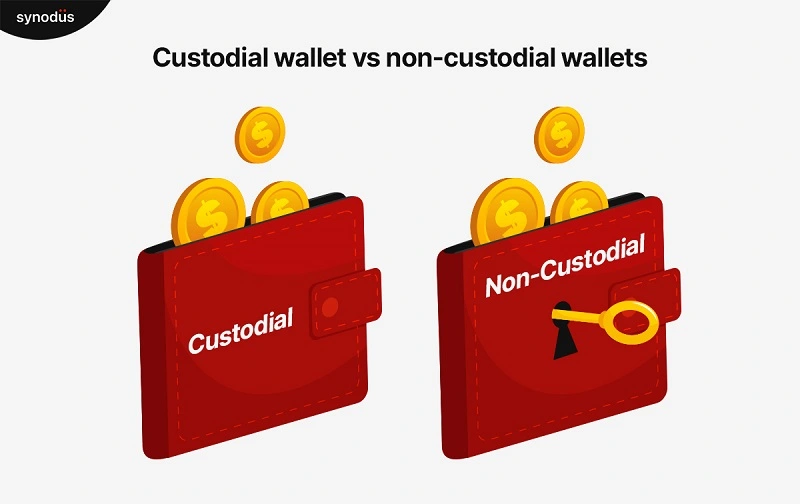 Custodial wallet vs Non-custodial wallet 