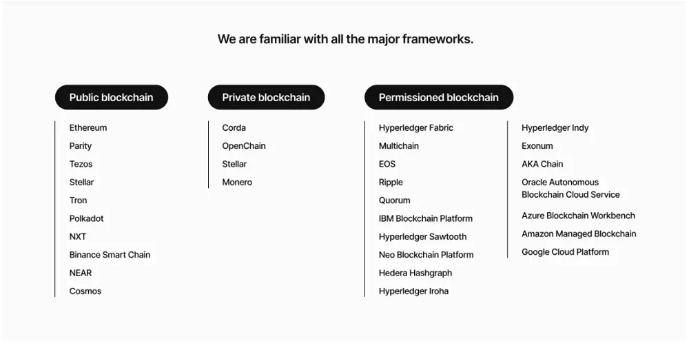 Synodus’ supported blockchain focus