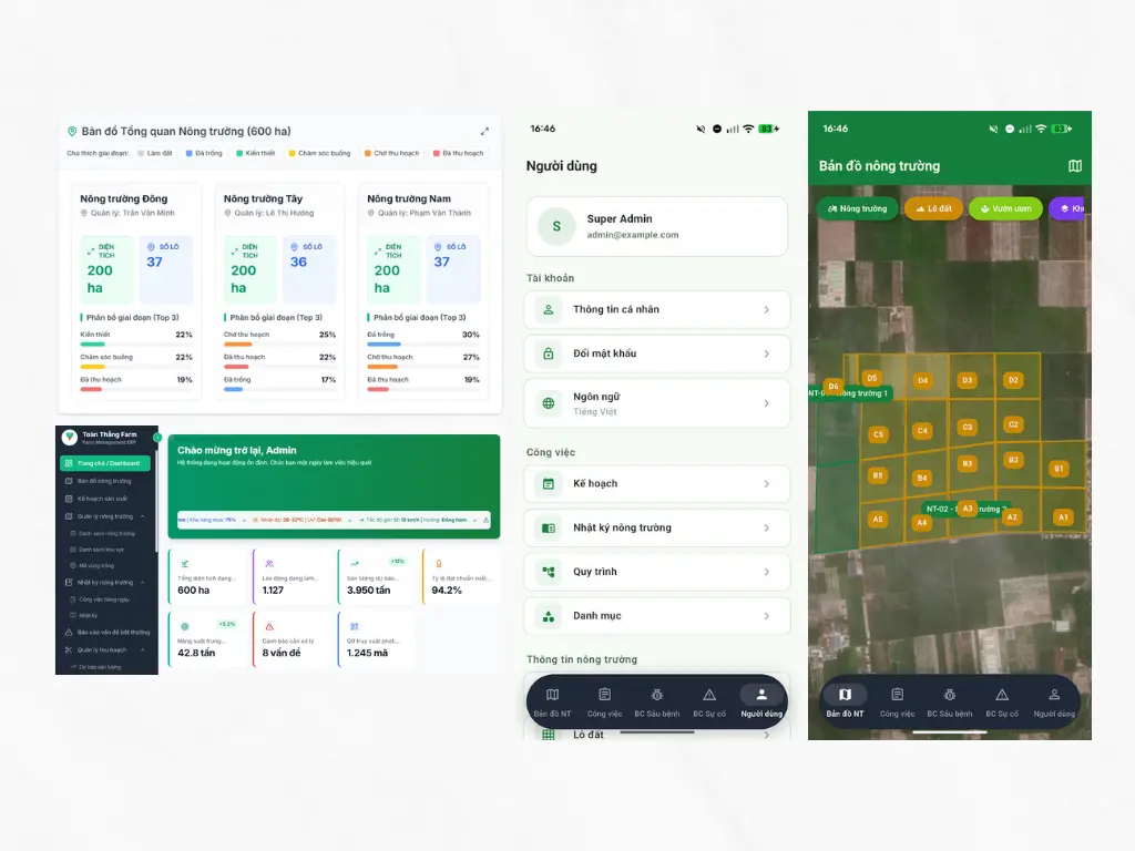 Toan Thang smart farm